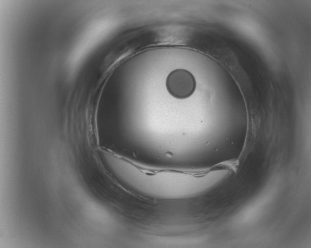 X0000062911487200601271726