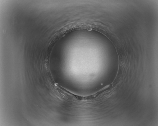 X0000062911490200601271726