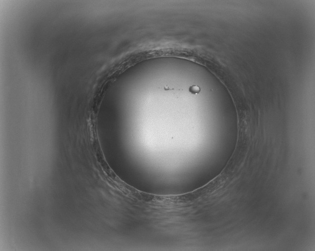 X0000062911493200601271726