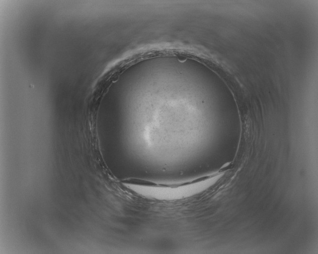 X0000062911494200601271726