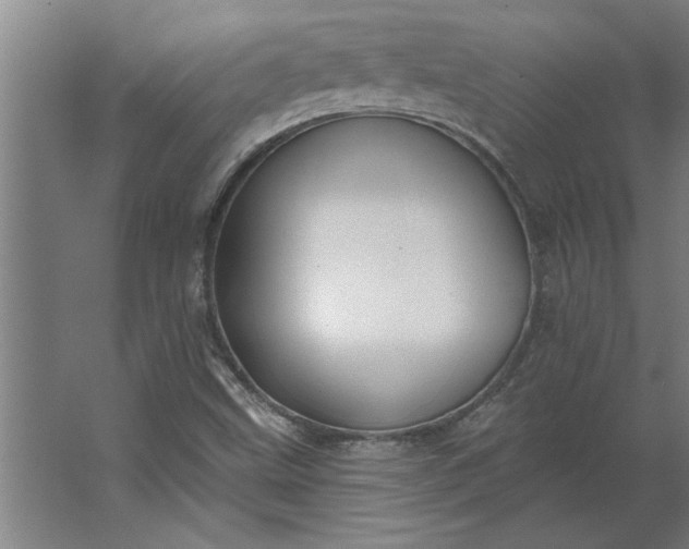 X0000062911499200601271726