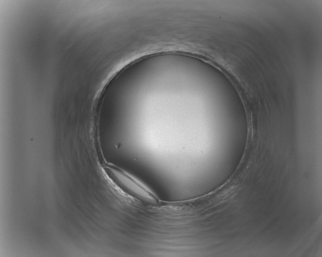 X0000062911500200601271726