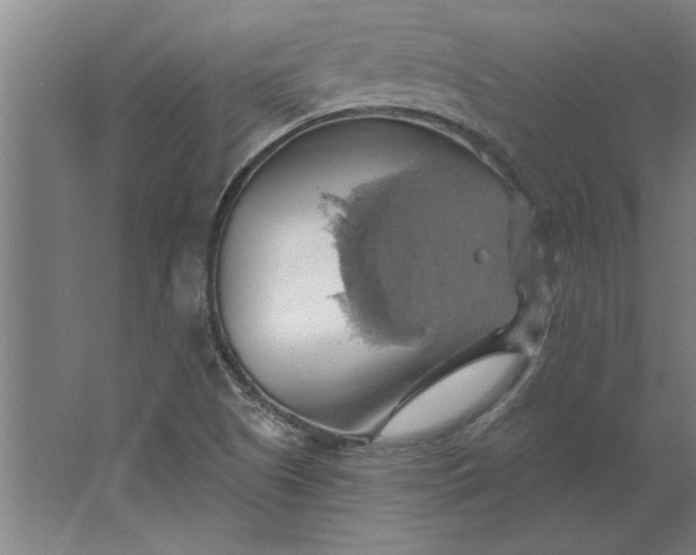 X0000062911505200601271726