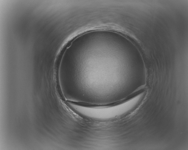 X0000062911506200601271726