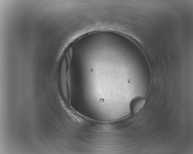 X0000062911507200601271726