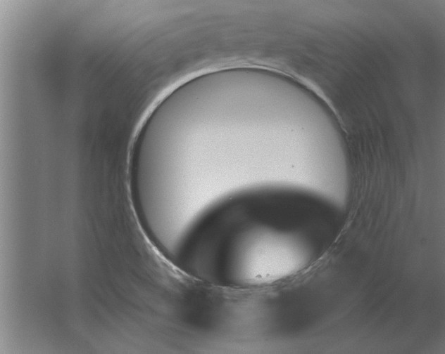 X0000062911508200601271726