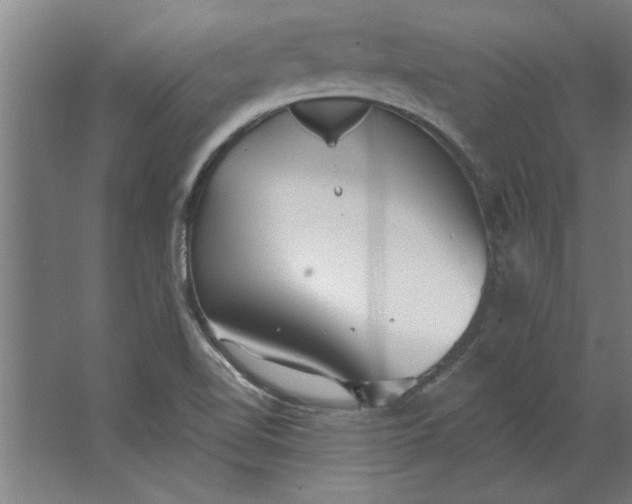 X0000062911510200601271726