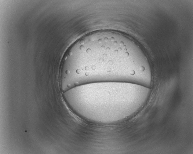 X0000062911513200601271726