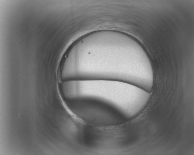 X0000062911515200601271726