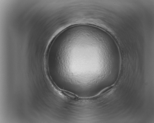 X0000062911517200601271726