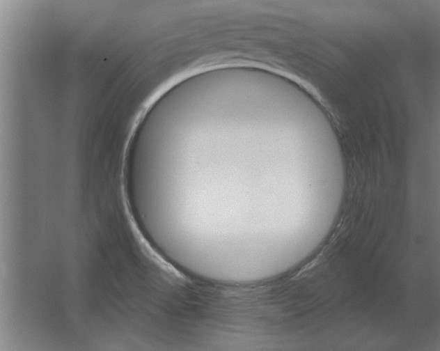 X0000062911518200601271726