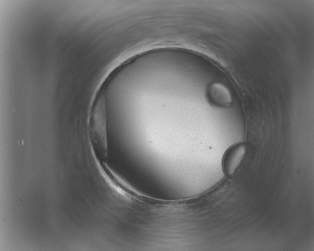 X0000062911519200601271726