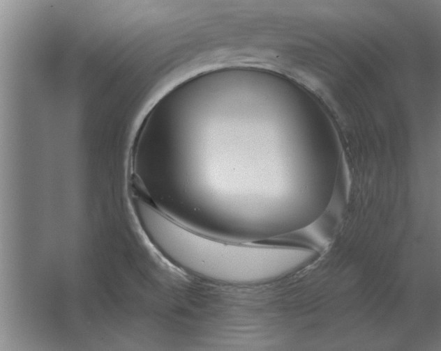 X0000062911520200601271726