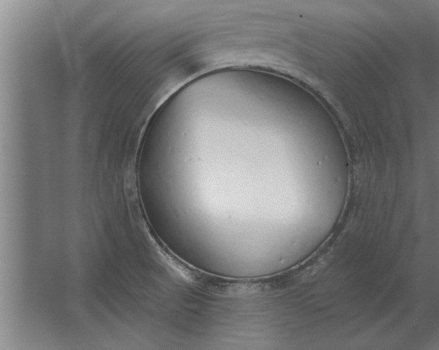 X0000062911521200601271726