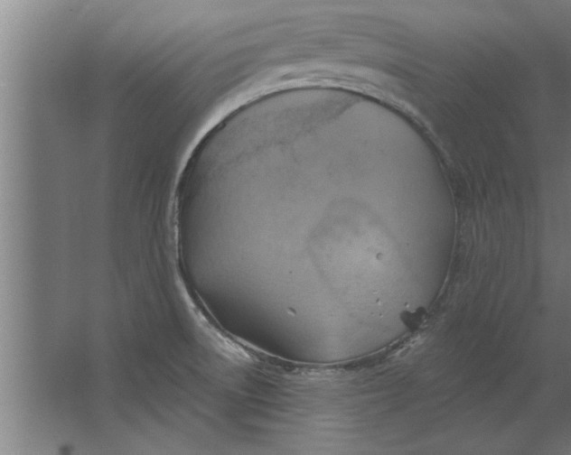 X0000062911522200601271726