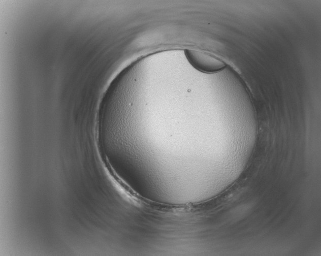 X0000062911523200601271726