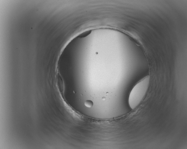 X0000062911524200601271726