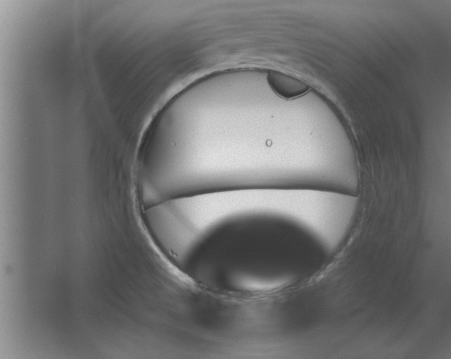 X0000062911525200601271726