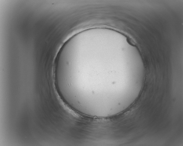 X0000062911526200601271726