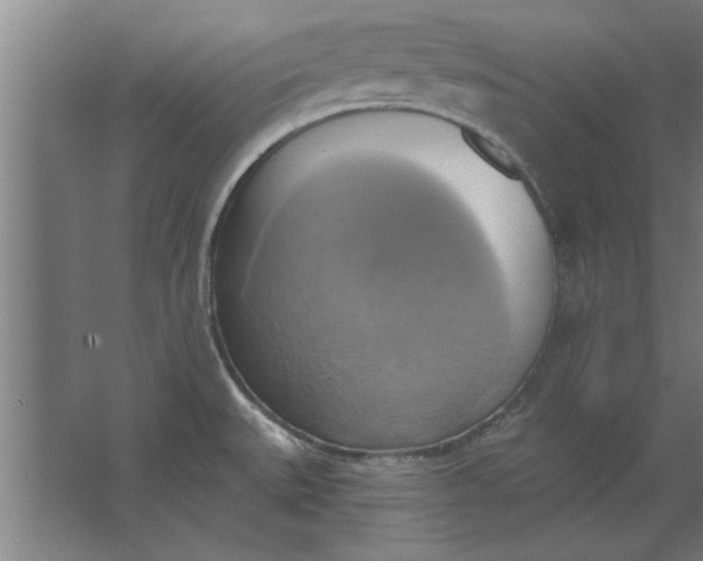 X0000062911527200601271726