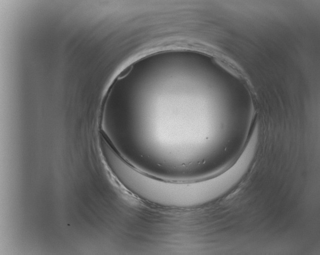 X0000062911530200601271726