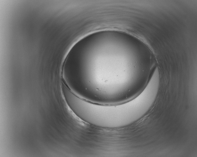 X0000062911532200601271726