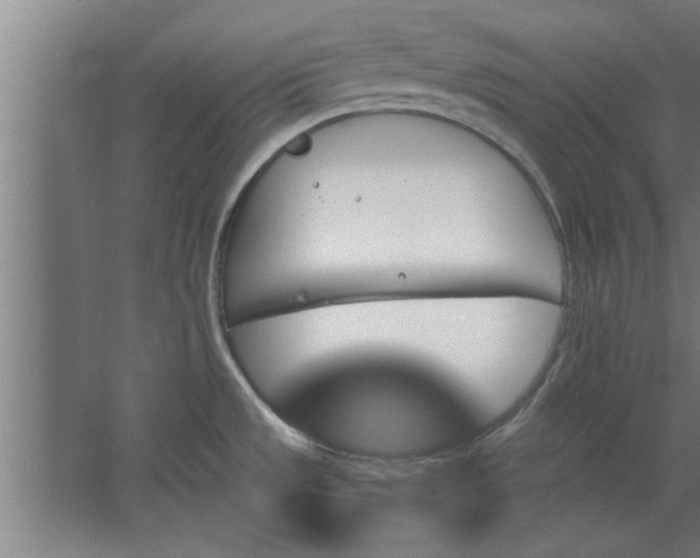 X0000062911533200601271726