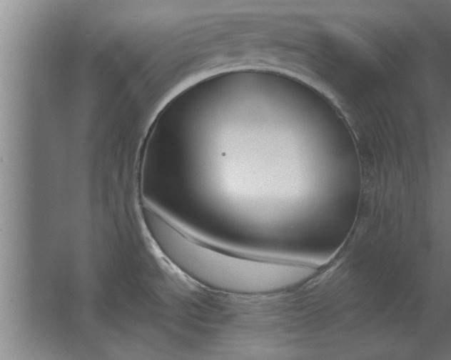 X0000062911534200601271726