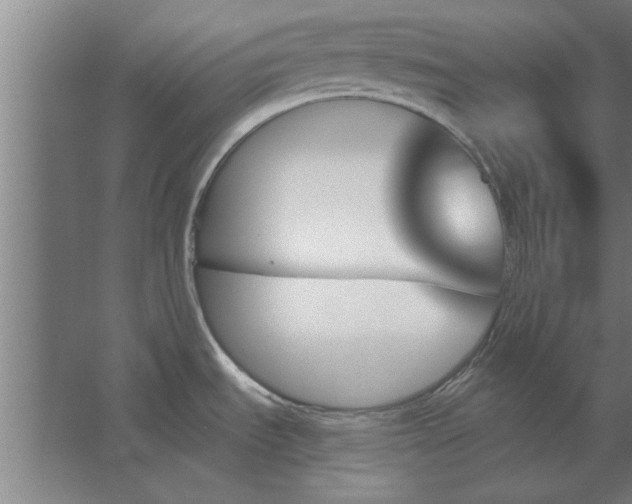 X0000062911535200601271726