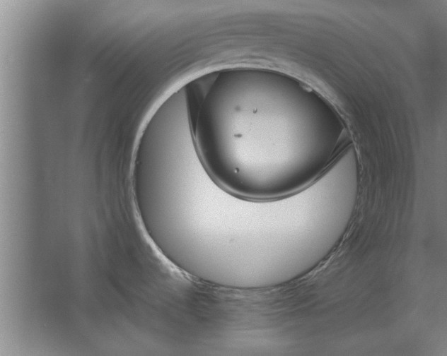 X0000062911536200601271726