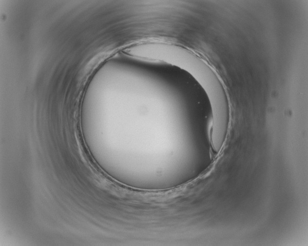 X0000062910001200602031908