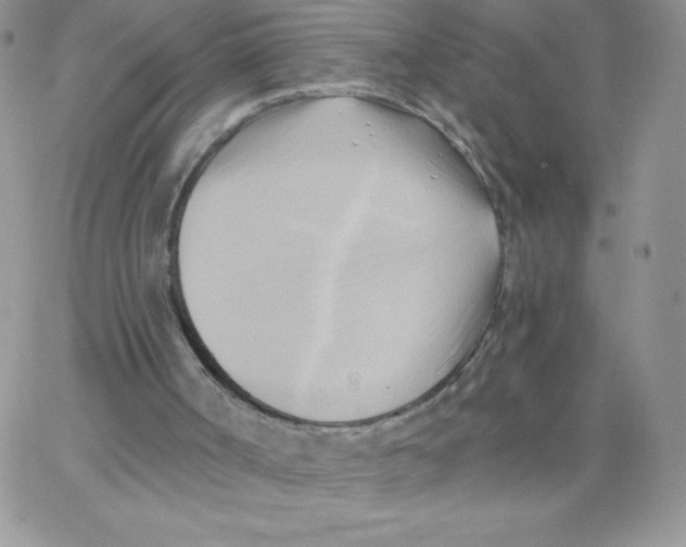 X0000062910002200602031908