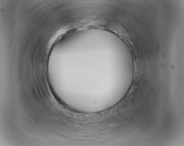 X0000062910003200602031908