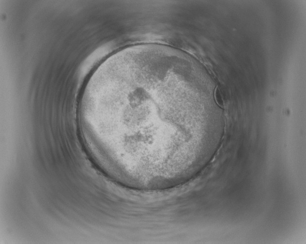 X0000062910006200602031908