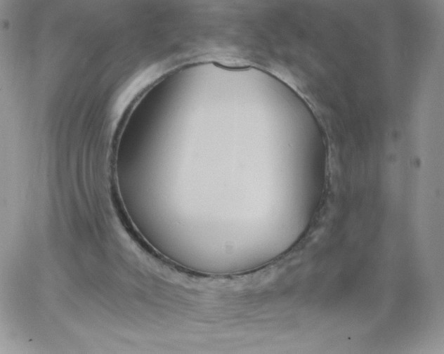 X0000062910007200602031908