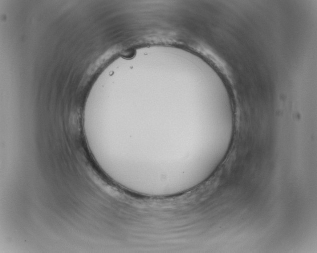 X0000062910009200602031908