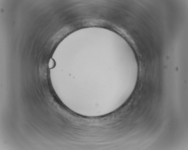 X0000062910010200602031908