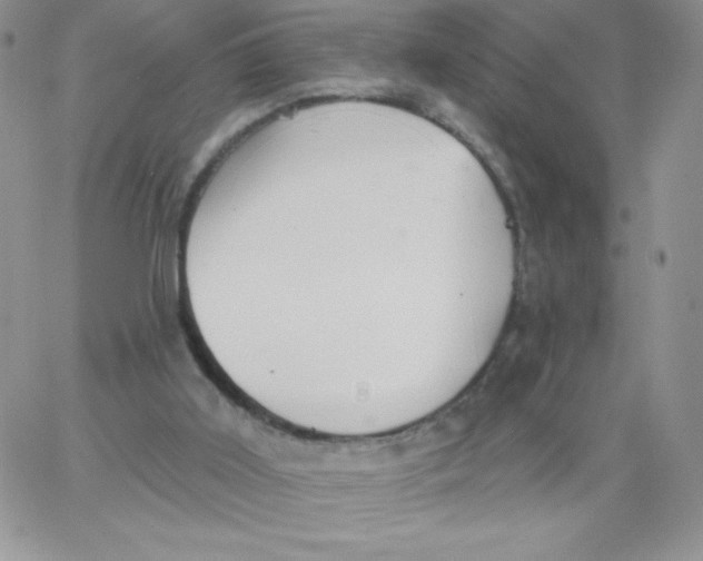 X0000062910011200602031908