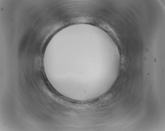 X0000062910012200602031908