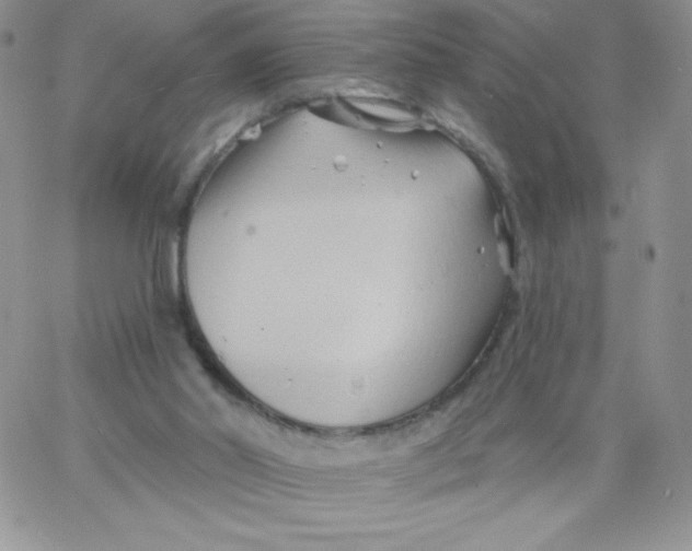 X0000062910014200602031908