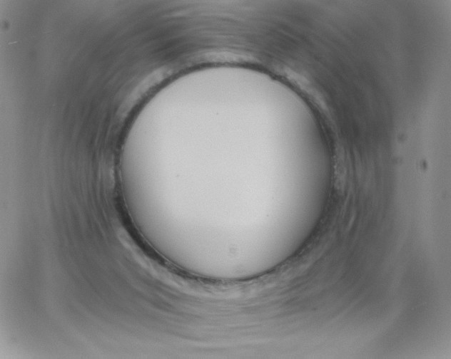 X0000062910015200602031908