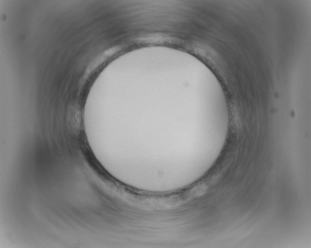 X0000062910016200602031908