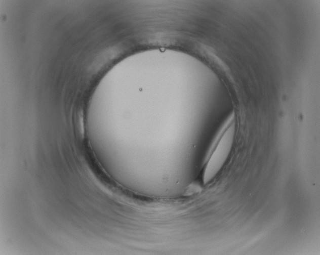 X0000062910020200602031908