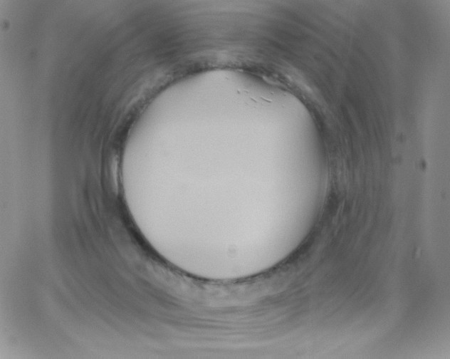 X0000062910022200602031908