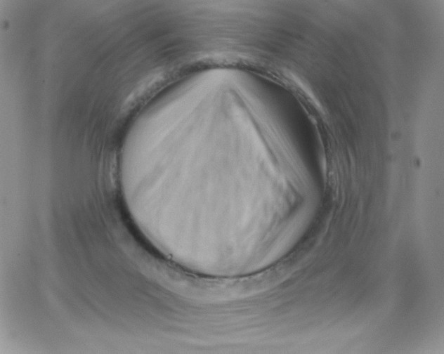 X0000062910023200602031908