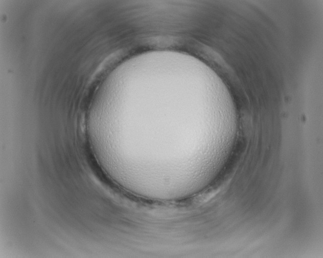 X0000062910024200602031908