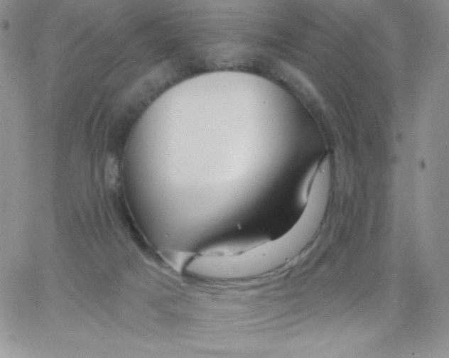 X0000062910025200602031908