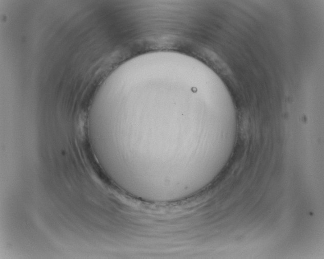 X0000062910026200602031908