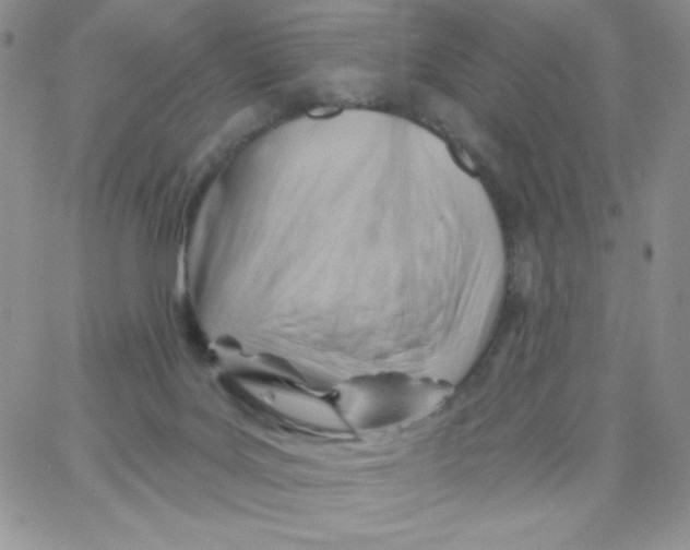 X0000062910027200602031908