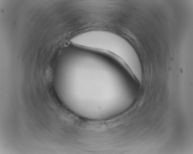 X0000062910029200602031908